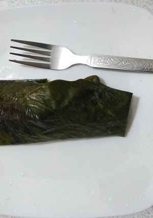 A picture of Moimoi elewe (moimoi wrapped in leaf).