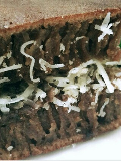 Foto resep Martabak Manis Teflon