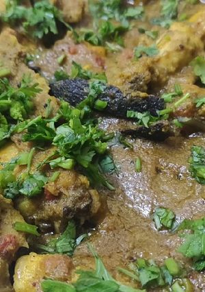 A picture of Chicken Masala (Bhut Jolokia special spicy).