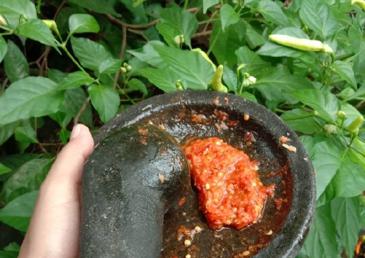 Cara Gampang Membuat Sambal Bawang a.k.a Sambal Korek Anti Gagal