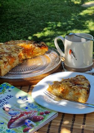 Kevert sárgabarackos sütemény (vegán) recept fotója