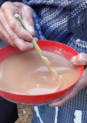 Una foto de Atole meco de Santiago Lachivía