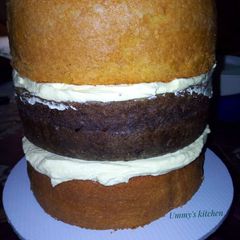 A picture of Vanilla and Chocolate Cake flavors.