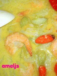 Foto resep Sayur Labu Istimewa