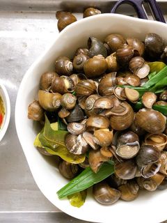 Hình của món Ốc mít luộc.