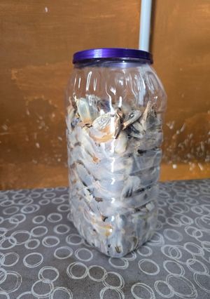 Foto resep Fermentasi Bawang Putih Kating/Tunggal jadi Bawang Hitam/ Black Garlic