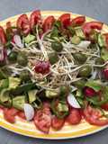 Ensalada variada con brotes de soja, para currantes, nº 8