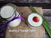Gambar yoghurt biokul