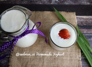Foto resep Homemade Yoghurt (2 Bahan Saja)