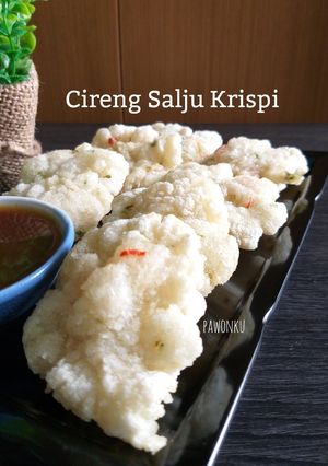 Foto resep 456.Cireng Salju Krispi