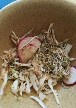Una foto de Ensalada de col, rábano y brotes de alfalfa