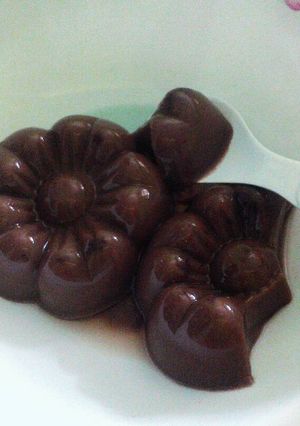 Foto resep MPAsi 18+ Puding Coklat Dancow Batita