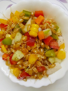 முளைகட்டிய கோதுமை சாலட் செய்முறை முக்கிய புகைப்படம்