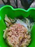 Nasgor telur dadar mie goreng sayur