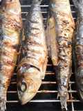 Sardinha braseada com sabores de S. João