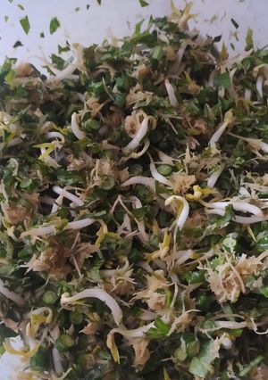 Foto resep Trancam mentah