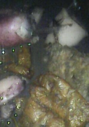 Foto resep Cumi Tahu masak hitam