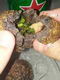 Bolinho de feijoada