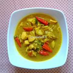 A picture of Tongseng Ayam.
