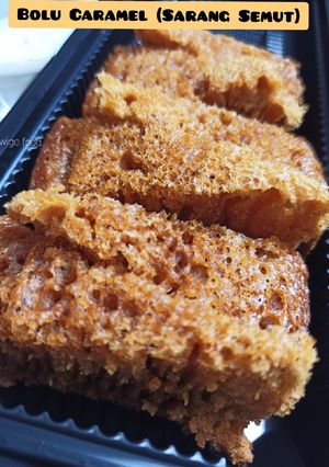 Foto resep Bolu Caramel (sarang Semut)