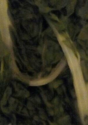 A picture of Leaf spinach.