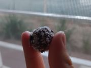 Una foto de trufas para niños