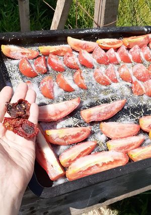 Una foto de 🍅 Tómates Deshidratados al Sol 🌞