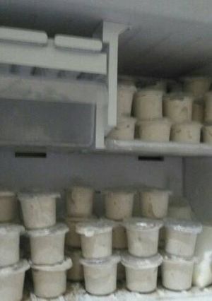 Foto resep Ice Cream