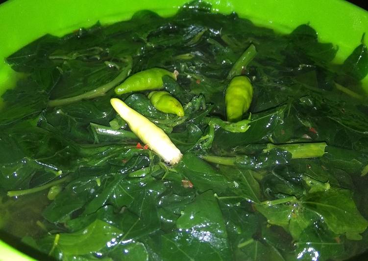 Resep Tumis bening daun katuk Anti Gagal