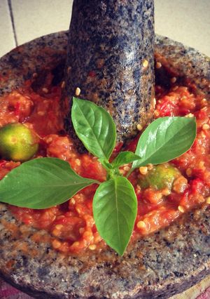 Foto resep Sambel terasi