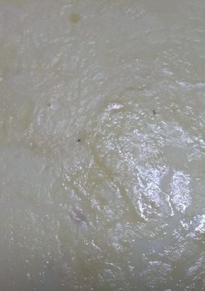 A picture of Rabdi.
