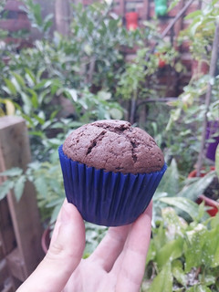 Una foto de Muffins de chocolate 🍫🤩