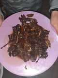 Liebre al ajillo