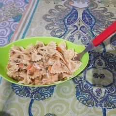 A picture of Veggie Pasta in Creamy White Sauce.