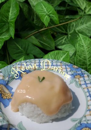 Foto resep TanDur (Ketan Durian)