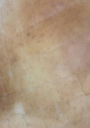 صورة لوصفة بسبوسة بالمهلبية