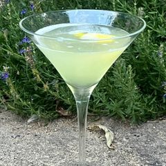 A picture of Juliet and Romeo – salad in a cocktail.