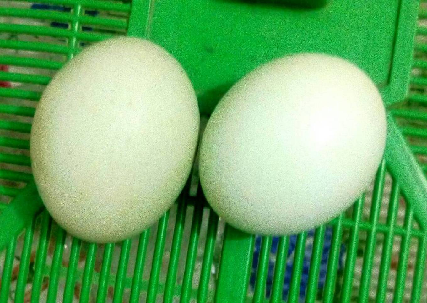 Telor Bebek Asin Sederhana