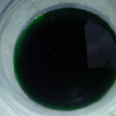 A picture of Mint syrup.