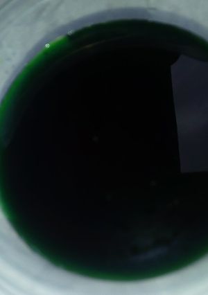 A picture of Mint syrup.