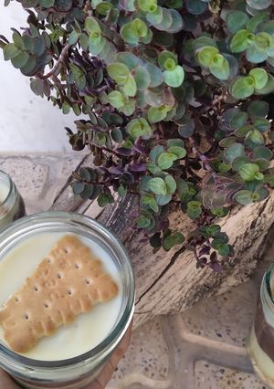 عکسی از دستور پودینگ pudding با بافتی بینظیر