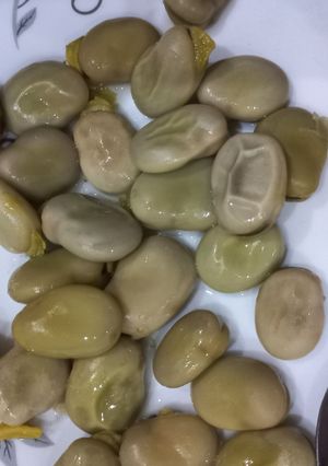 عکسی از دستور باقالی آبپز