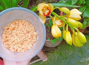 Hình của món Nhân dừa từ cơm dừa khô.