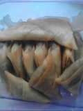 Samosa daging