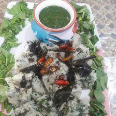 A picture of Methi palak dhokla.