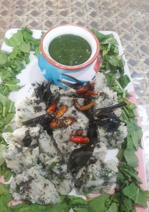 A picture of Methi palak dhokla.