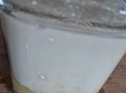 Une photo de rhubarbe oeuf