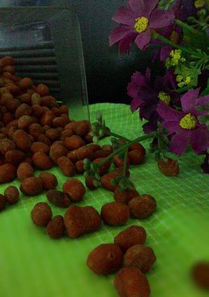 Foto resep Kacang Telor