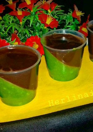 Foto resep Puding Alpukat Lapis Coklat