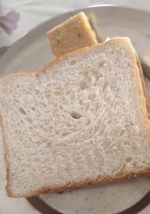 A picture of Crispy Brinjal Delight Sandwich.